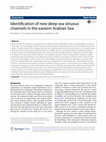 Research paper thumbnail of Identification of new deep sea sinuous channels in the eastern Arabian Sea