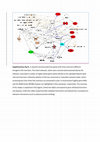 Research paper thumbnail of Potential impact of primate-specific SVA retrotransposons during the evolution of human cognitive function