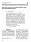 Research paper thumbnail of Wafer Level Solid Liquid Interdiffusion Bonding: Formation and Evolution of Microstructures