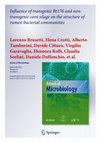 Research paper thumbnail of Influence of transgenic Bt176 and non-transgenic corn silage on the structure of rumen bacterial communities