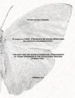 Research paper thumbnail of Dissertação de Mestrado: O corpo e a casa : etnografias de jovens infratores no contexto socioeducativo = The body and the house (Foundation) : ethnographies of young offenders in the educational process interdiction