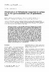 Research paper thumbnail of Ultrastructure of Helicobacter trogontum in culture and in the gastrointestinal tract of gnotobiotic mice