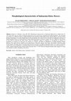 Research paper thumbnail of Morphological characteristics of Indonesian Rubus flowers