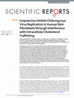 Research paper thumbnail of Imipramine Inhibits Chikungunya Virus Replication in Human Skin Fibroblasts through Interference with Intracellular Cholesterol Trafficking