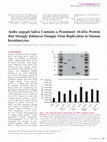 Research paper thumbnail of Aedes aegypti Saliva Contains a Prominent 34-kDa Protein that Strongly Enhances Dengue Virus Replication in Human Keratinocytes