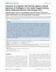 Research paper thumbnail of Induction of a Peptide with Activity against a Broad Spectrum of Pathogens in the Aedes aegypti Salivary Gland, following Infection with Dengue Virus