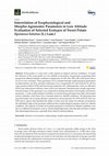 Research paper thumbnail of Interrelation of Ecophysiological and Morpho-Agronomic Parameters in Low Altitude Evaluation of Selected Ecotypes of Sweet Potato (Ipomoea batatas [L.] Lam