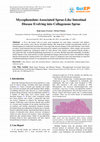 Research paper thumbnail of Mycophenolate-Associated Sprue-Like Intestinal Disease Evolving into Collagenous Sprue