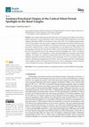 Research paper thumbnail of Anatomo-Functional Origins of the Cortical Silent Period: Spotlight on the Basal Ganglia