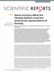 Research paper thumbnail of Differential neural encoding of sensorimotor and visual body representations.