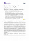 Research paper thumbnail of Cytosolic Isocitrate Dehydrogenase from Arabidopsis thaliana Is Regulated by Glutathionylation