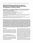 Research paper thumbnail of SHORT-ROOT Deficiency Alleviates the Cell Death Phenotype of the Arabidopsiscatalase2Mutant under Photorespiration-Promoting Conditions