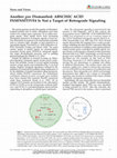 Research paper thumbnail of Another gun Dismantled: ABSCISIC ACID INSENSITIVE4 Is Not a Target of Retrograde Signaling