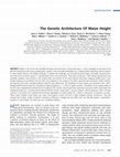 Research paper thumbnail of The Genetic Architecture Of Maize Height