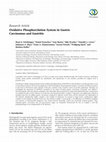 Research paper thumbnail of Oxidative Phosphorylation System in Gastric Carcinomas and Gastritis