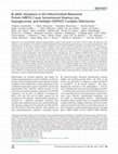 Research paper thumbnail of Bi-allelic Mutations in the Mitochondrial Ribosomal Protein MRPS2 Cause Sensorineural Hearing Loss, Hypoglycemia, and Multiple OXPHOS Complex Deficiencies