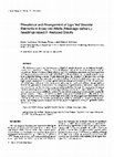 Research paper thumbnail of Prevalence and arrangement of lignified vascular elements in 6-day-old alfalfa (Medicago sativa L.) seedlings raised in reduced gravity