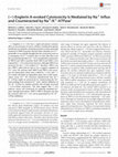 Research paper thumbnail of (-)-Englerin A-evoked Cytotoxicity is Mediated by Na + Influx and Counteracted by Na + /K + -ATPase