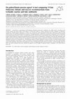 Research paper thumbnail of Do paleoclimate proxies agree? A test comparing 19 late Holocene climate and sea‐ice reconstructions from Icelandic marine and lake sediments