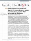 Research paper thumbnail of Immunoprotective potential of BamA, the outer membrane protein assembly factor, against MDR Acinetobacter baumannii