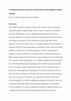 Research paper thumbnail of Civilizations in history and myth: considerations on the imaginary and the imaginal