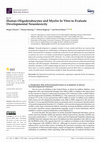 Research paper thumbnail of Human Oligodendrocytes and Myelin In Vitro to Evaluate Developmental Neurotoxicity