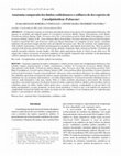 Research paper thumbnail of Comparative anatomy of cotyledons and eophylls laminas of ten species of Caesalpinioideae (Fabaceae)