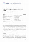 Research paper thumbnail of Morphology-driven gas sensing by fabricated fractals: A review