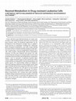 Research paper thumbnail of Rewired metabolism in drug-resistant leukemia cells: A metabolic switch hallmarked by reduced dependence on exogenous glutamine