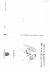 Research paper thumbnail of Omaggio a Zanzotto