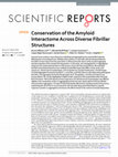 Research paper thumbnail of Conservation of the Amyloid Interactome Across Diverse Fibrillar Structures