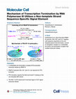 Research paper thumbnail of Mechanism of Transcription Termination by RNA Polymerase III Utilizes a Non-template Strand Sequence-Specific Signal Element