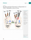 Research paper thumbnail of M1 Macrophage Polarization Is Dependent on TRPC1-Mediated Calcium Entry