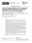 Research paper thumbnail of A Novel Substrate Radiotracer for Molecular Imaging of SIRT2 Expression and Activity with Positron Emission Tomography