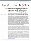 Research paper thumbnail of Intracellular targeting of annexin A2 inhibits tumor cell adhesion, migration, and in vivo grafting