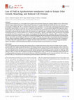 Research paper thumbnail of Loss of PodJ in Agrobacterium tumefaciens Leads to Ectopic Polar Growth, Branching, and Reduced Cell Division