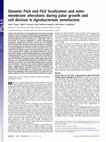 Research paper thumbnail of Dynamic FtsA and FtsZ localization and outer membrane alterations during polar growth and cell division in Agrobacterium tumefaciens