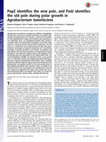 Research paper thumbnail of PopZ identifies the new pole, and PodJ identifies the old pole during polar growth in Agrobacterium tumefaciens