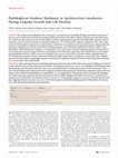 Research paper thumbnail of Peptidoglycan Synthesis Machinery in Agrobacterium tumefaciens During Unipolar Growth and Cell Division