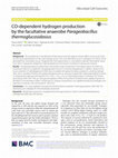 Research paper thumbnail of CO-dependent hydrogen production by the facultative anaerobe Parageobacillus thermoglucosidasius