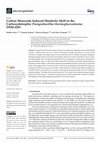 Research paper thumbnail of Carbon Monoxide Induced Metabolic Shift in the Carboxydotrophic Parageobacillus thermoglucosidasius DSM 6285