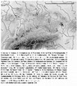 Research paper thumbnail of OsseoPro : a catalogue of the osseous projectiles of the Central European late Upper Palaeolithic (23.000–14.000 yrs calBP)