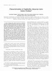 Research paper thumbnail of Characterization of Euphorbia characias Latex Amine Oxidase1