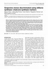 Research paper thumbnail of Grapevine clones discriminated using stilbene synthase–chalcone synthase markers