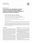 Research paper thumbnail of PCR and Microscopic Identification of Isolated Leishmania tropica from Clinical Samples of Cutaneous Leishmaniasis in Human Population of Kohat Region in Khyber Pakhtunkhwa