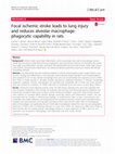 Research paper thumbnail of Focal ischemic stroke leads to lung injury and reduces alveolar macrophage phagocytic capability in rats