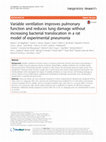 Research paper thumbnail of Variable ventilation improves pulmonary function and reduces lung damage without increasing bacterial translocation in a rat model of experimental pneumonia