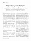 Research paper thumbnail of Detection and Characterization of a Glutathione Conjugate of a Novel Copper Complex