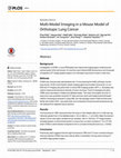 Research paper thumbnail of Multi-Modal Imaging in a Mouse Model of Orthotopic Lung Cancer