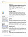 Research paper thumbnail of Spatiotemporal assessment of spontaneous metastasis formation using multimodal in vivo imaging in HER2+ and triple negative metastatic breast cancer xenograft models in mice